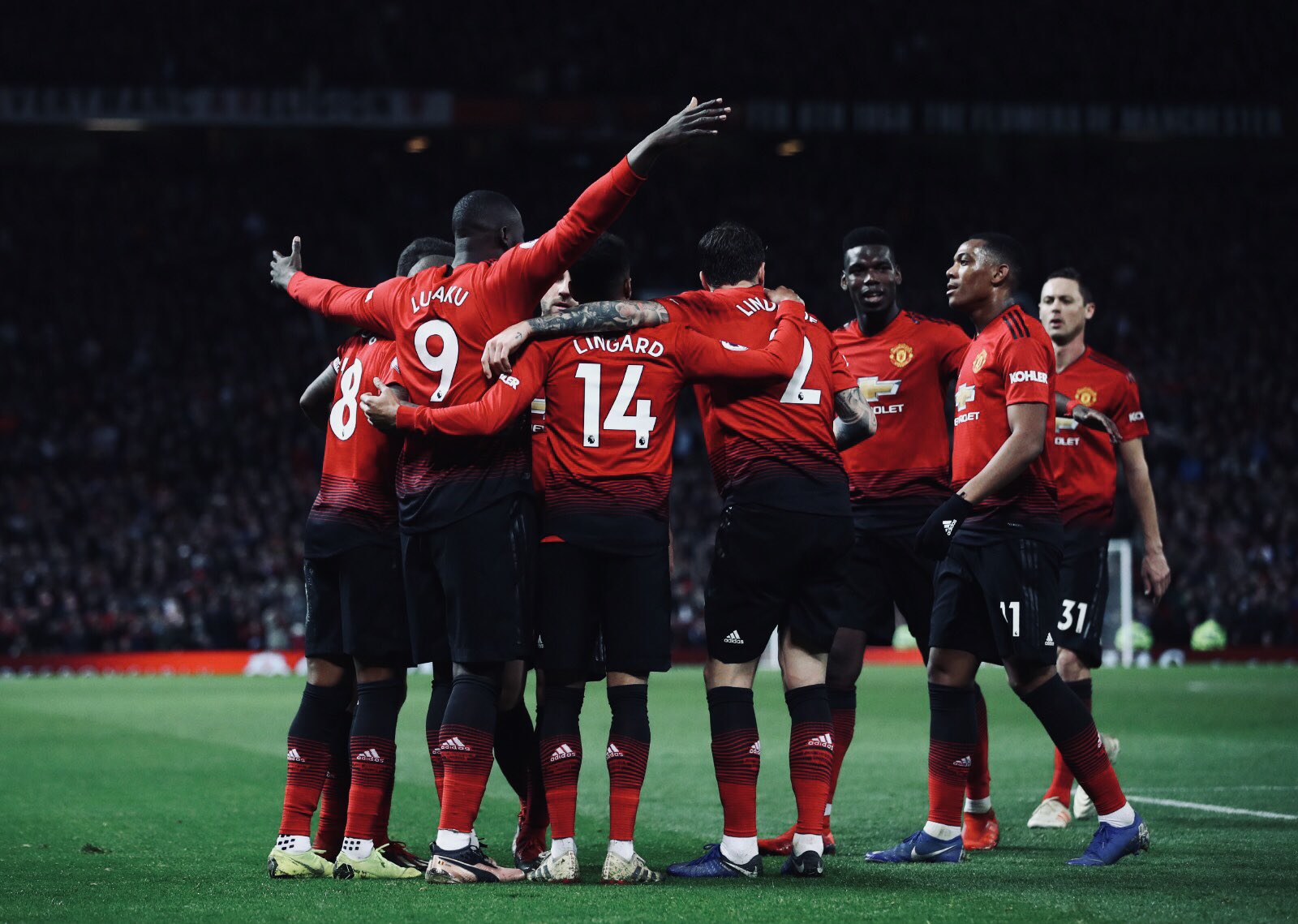 伯罗新秀合 伯罗新秀合